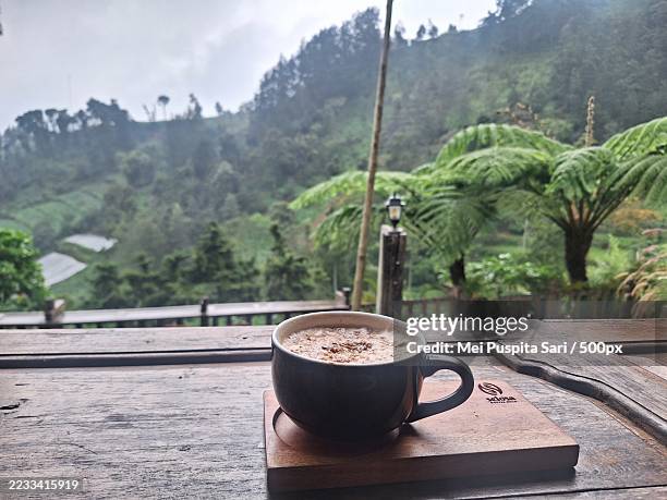 coffee cup on wooden table with lush mountain view - coaster forest stock pictures, royalty-free photos & images