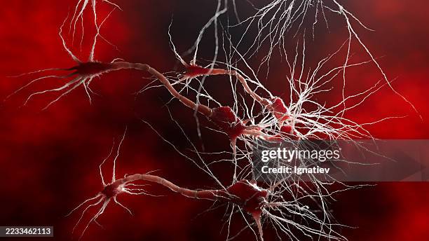 neuronen dehnen ihre dendriten aus, um verbindungen zu bilden, während impulse durch synapsen wandern. das rote licht unterstreicht die vitalität und energie im nervensystem. - synapsenendknöpfchen stock-fotos und bilder