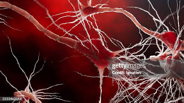 eine mikroskopisch inspirierte 3d-animation zeigt neuronen in aktiver kommunikation. der leuchtende hintergrund verstärkt das gefühl von energie und bewegung. - synapsenendknöpfchen stock-fotos und bilder