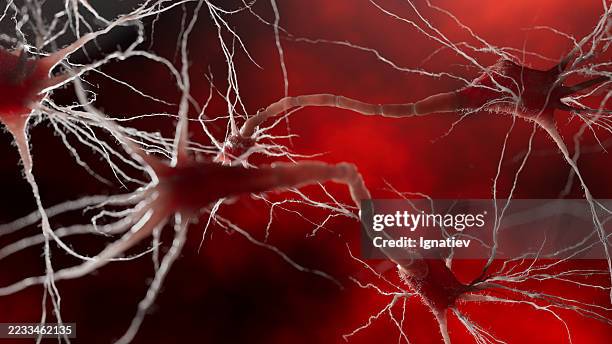 es wird gezeigt, wie neuronen des gehirns impulse mit glühender energie übertragen. die äste bilden ein miteinander verbundenes geflecht aus intelligenz und erinnerung. - synapsenendknöpfchen stock-fotos und bilder