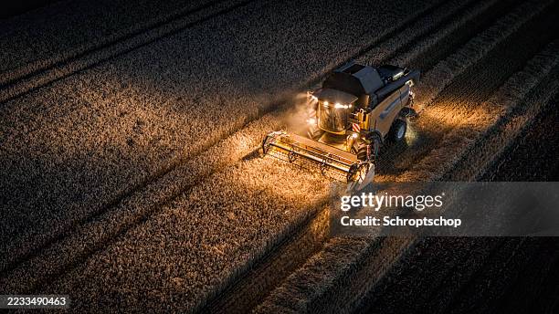 modern industrial combine harvester harvesting wheat on agricultural field at night - combine harvester stock pictures, royalty-free photos & images