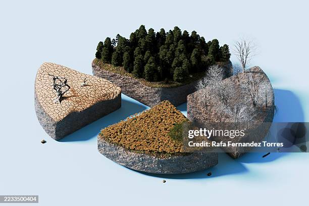 3d pie chart of four seasons and climate diversity - biodiversidad fotografías e imágenes de stock