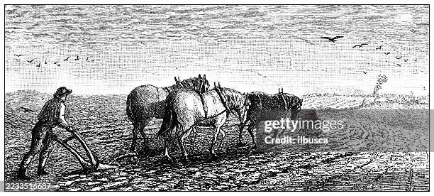 poem illustration - plowed field stock illustrations