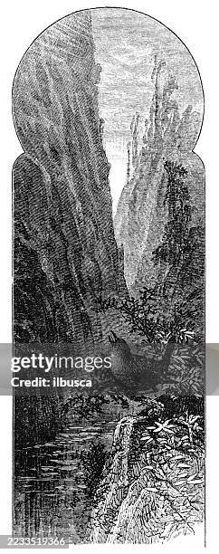 ilustraciones, imágenes clip art, dibujos animados e iconos de stock de aves, chochín de cañón - nest tree drawing