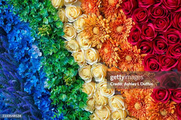 262 Rainbow Flower Bouquet Stock Photos, High-Res Pictures, and