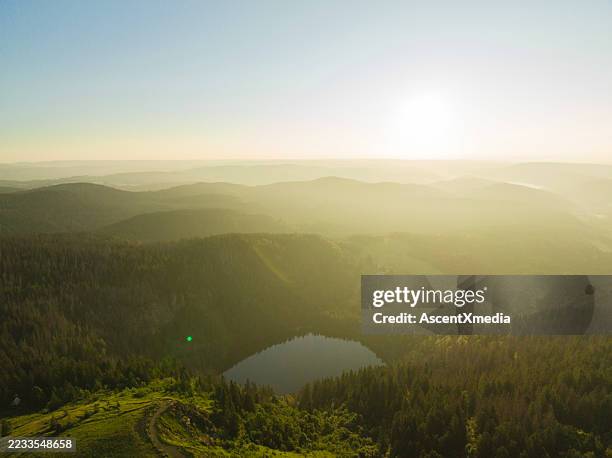 vista aérea de colinas onduladas en el campo, selva negra - selva negra fotografías e imágenes de stock