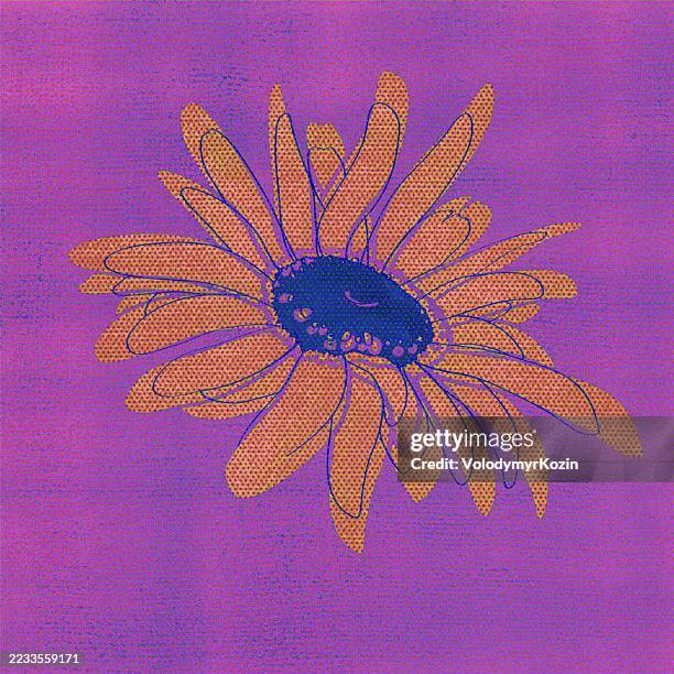 stylized chrysanthemum flower bud in square format - calendula field stock illustrations