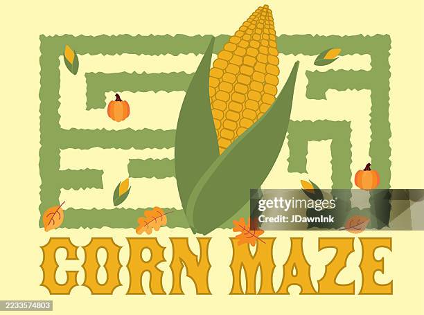 fall farm harvest and agricultural corn maze concept with corn on the cob, maze and fall leaves - corn maze stock illustrations