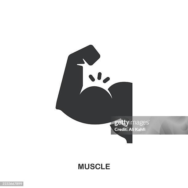 muskelglyphe solides symbol. solides symbol, das überall angewendet werden kann, einfach, pixelgenau und moderner stil. - fitness stock-grafiken, -clipart, -cartoons und -symbole