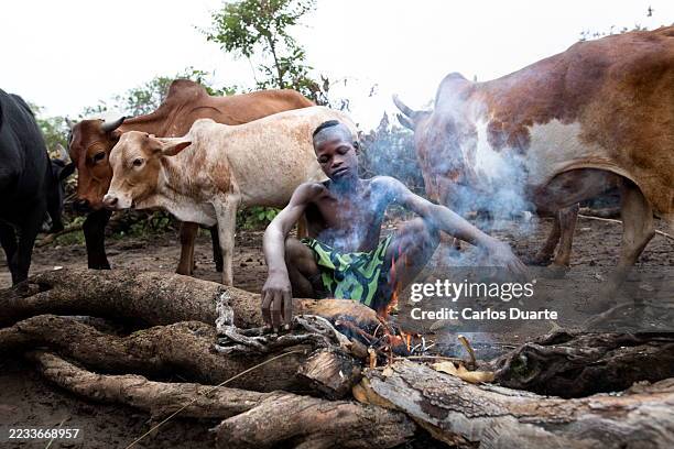 junger hirte, der rinder hütet, während er ein kleines feuer im surma-stamm in äthiopien aufrechterhält - horn von afrika stock-fotos und bilder
