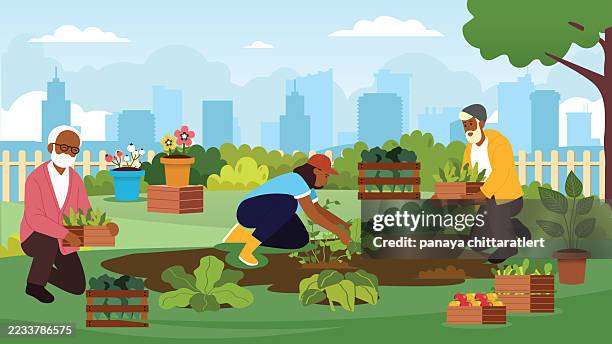 agriculture concept flat design for posters, covers and banners. modern flat design vector illustration.farm shop stall farmer selling organic vegetables. - gardener working stock illustrations