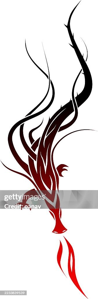 Celtic dragon design