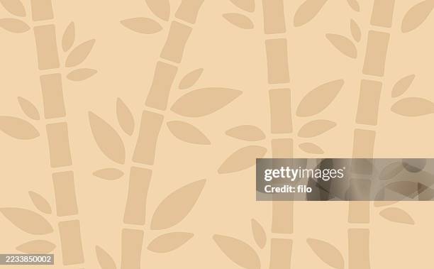 bamboo modern background - bamboo forest stock illustrations