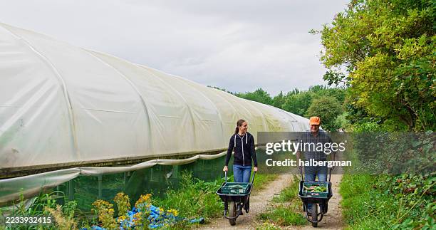 agricoltore anziano e sua figlia che camminano con il carretto a ruote in una fattoria urbana nello yorkshire, in inghilterra - orticoltura foto e immagini stock