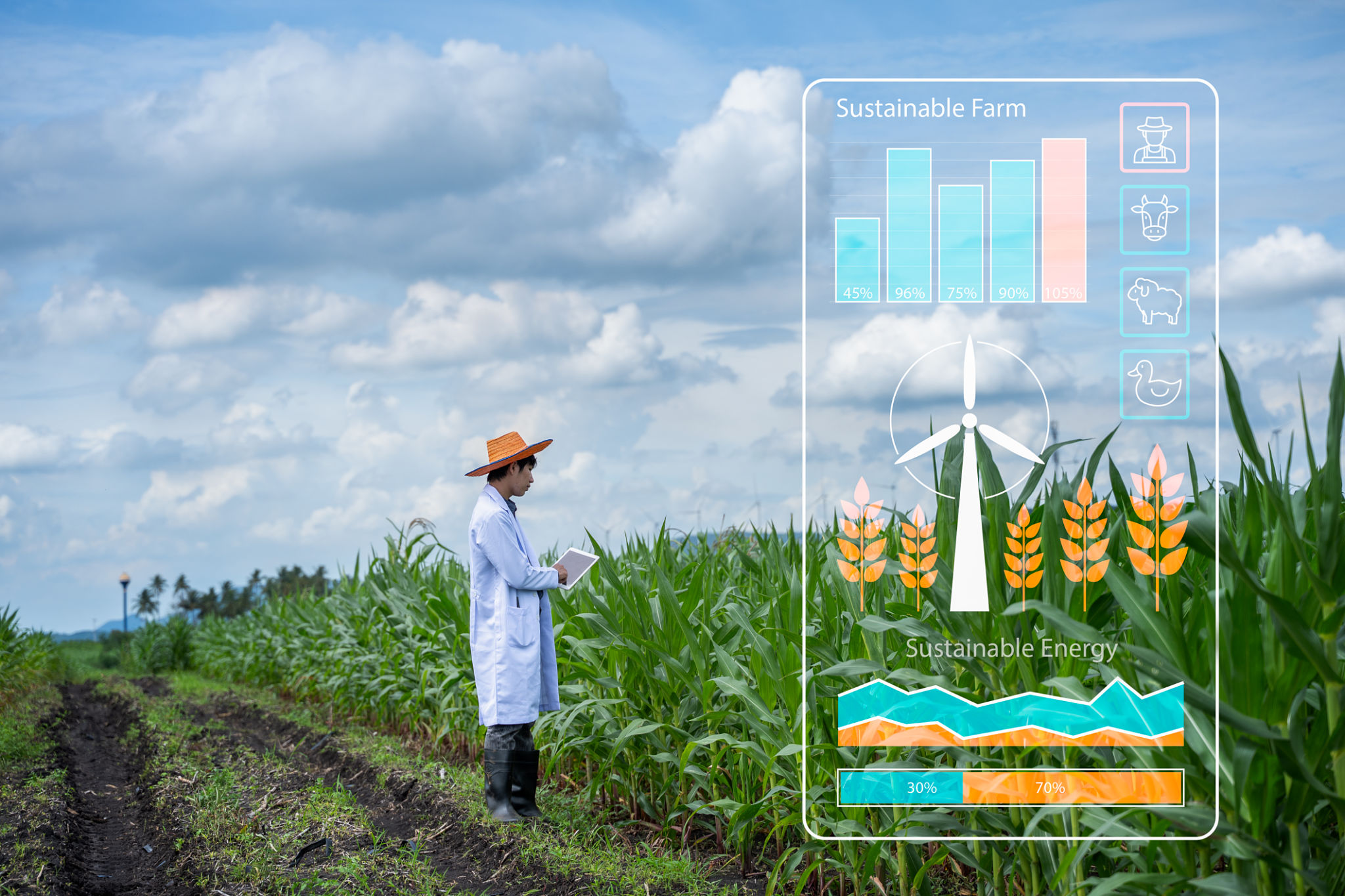 precision agriculture