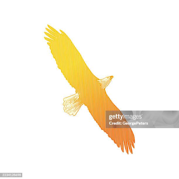 one bald eagle in flight - higher consciousness stock illustrations