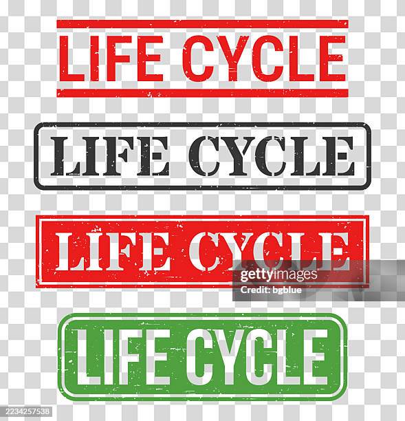 life cycle - rubber stamp set on blank background - life cycle vector stock illustrations