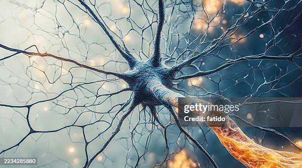 mikroskopisch klein von gehirnzellen des neuronalen netzwerks - synapsenendknöpfchen stock-fotos und bilder