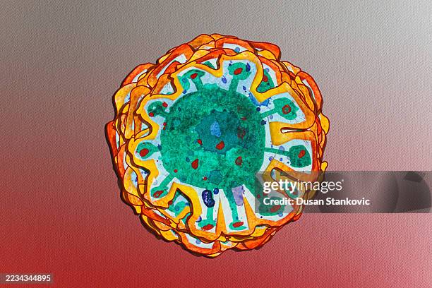 ilustrações de stock, clip art, desenhos animados e ícones de abstract microbe - organismo acidófilo