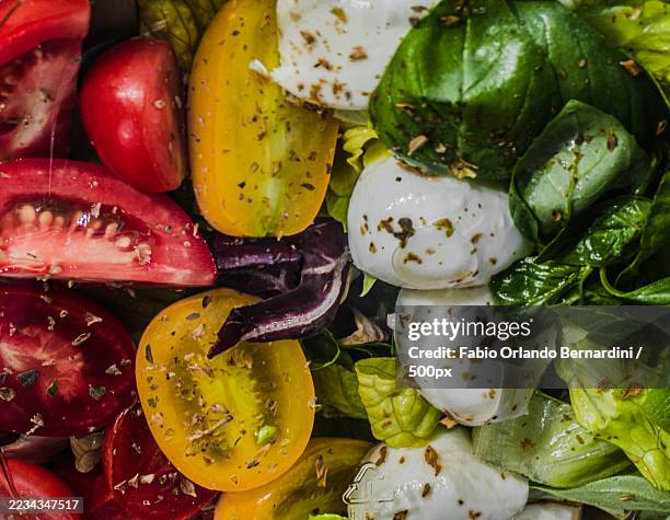 fresh caprese salad with tomatoes and mozzarella - mediterrane kultur stock-fotos und bilder