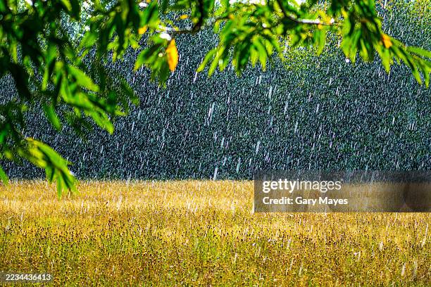 raining countryside fields landscape - spring meadow uk stock pictures, royalty-free photos & images