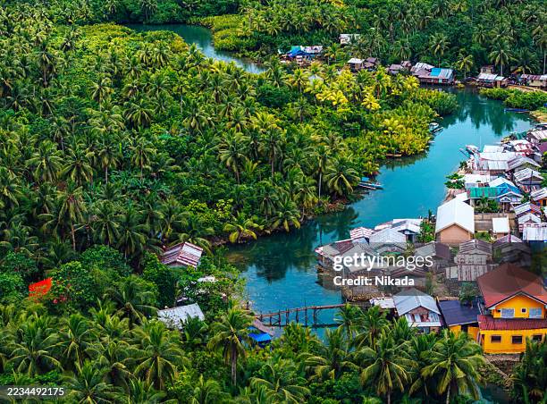 scenic aerial view of siargao island village and tropical waterways - flowering plant stock pictures, royalty-free photos & images