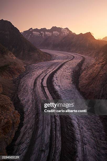 aerial view of the majestic aletsch glacier snakes through the rugged, sun-kissed peaks under a fiery dawn, aletsch glacier, valais, switzerland. - aletsch glacier stock pictures, royalty-free photos & images