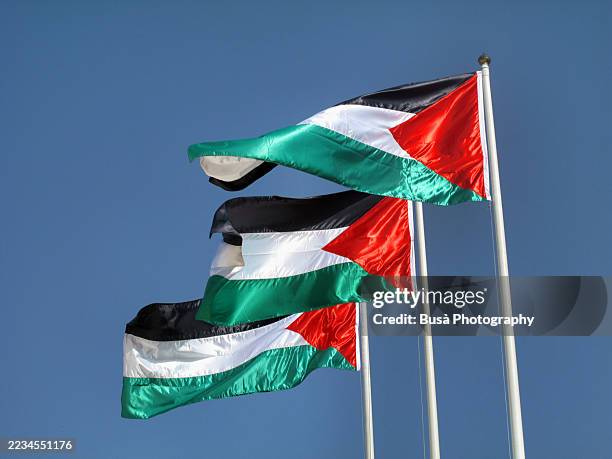 three palestinian flags against blue sky - palestijnse vlag stockfoto's en -beelden