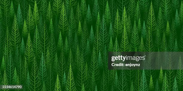 nahtloser wald grüne bäume muster hintergrund - mosaikstückchen stock-grafiken, -clipart, -cartoons und -symbole