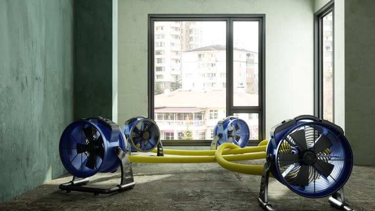 https://media.gettyimages.com/id/2234726750/video/water-mitigation-pumps-in-empty-room.jpg?b=1&s=640x640&k=20&c=x5eWI0FGBkWEMeOgS_X1i6FdkuxgLWp91uYTcC-7By0=
