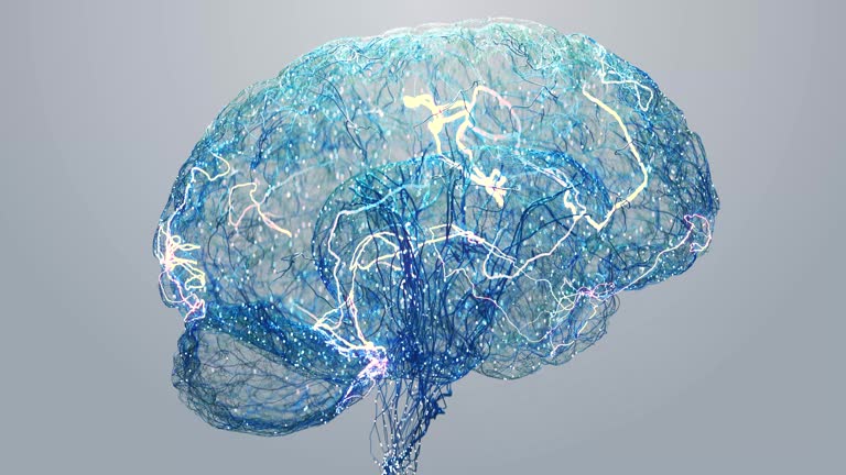 https://media.gettyimages.com/id/2234790984/video/futuristic-3d-animation-human-brain-of-glowing-neural-networks-electric-impulses-and-digital.jpg?b=1&s=640x640&k=20&c=sZIhPRLegJAbTWjhXuigJkl9UphtyPyBuZ3plvxQwVA=