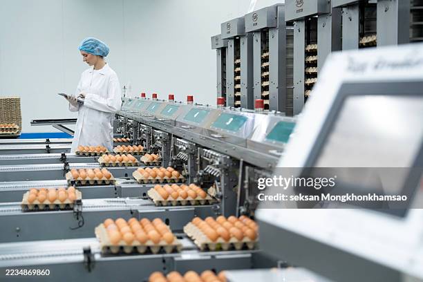 monitoring and controlling the various processes involved in egg production is essential for improving efficiency and reducing waste. - poultry processing stock pictures, royalty-free photos & images