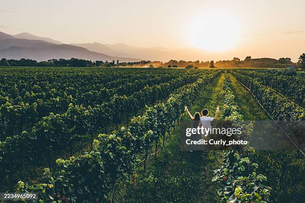 young couple is standing in a lush vineyard at sunset drone point of view. couple toasting with glasses of white wine. - vendimia fotografías e imágenes de stock