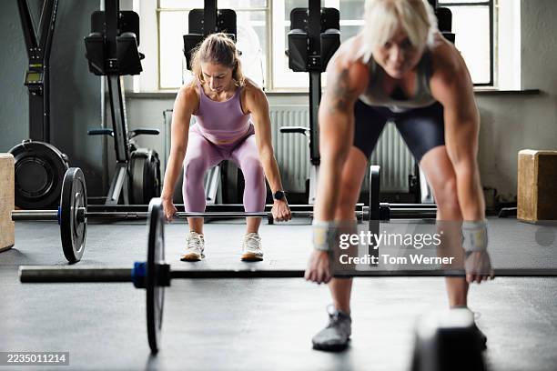 female cross training athletes preparing for deadlift exercise in gym - tyngdlyftning bildbanksfoton och bilder