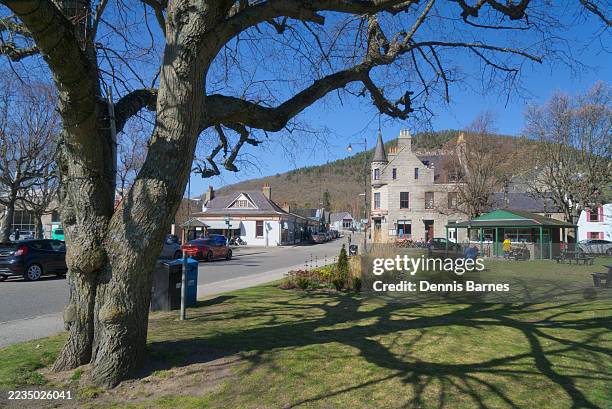 springtime with new growth appearing on trees in ballater village, spring sunshine. ballater, royal deeside, aberdeenshire, highland region, scotland uk - ballater stock pictures, royalty-free photos & images