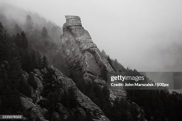 dramatic black and white landscape of rugged mountain peaks shrouded in fog and dense pine forests - rock face stock pictures, royalty-free photos & images