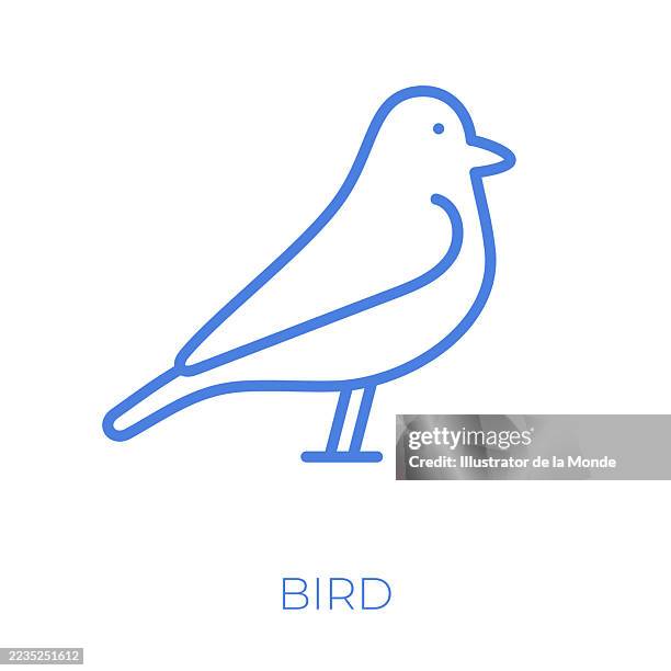 bird editable stroke vector illustration - parakeet stock illustrations