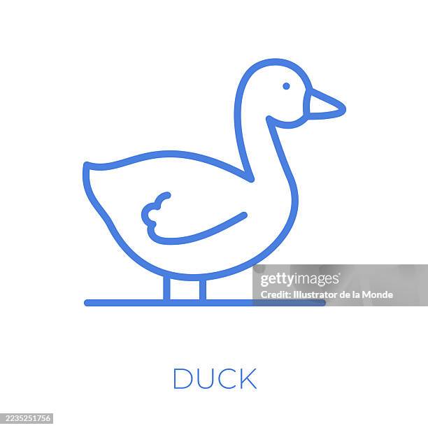 duck editable stroke vector illustration - duckling stock illustrations