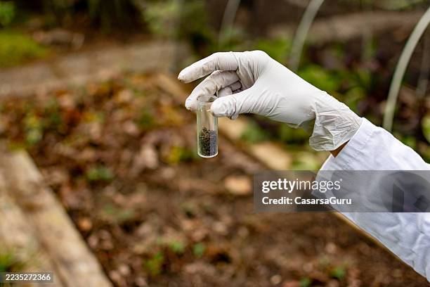 researcher holding a test tube with a soil sample - contamination stock pictures, royalty-free photos & images