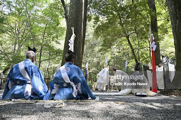 Priests attend a tree-felling ceremony at Ise Jingu shrine in Ise, Mie Prefecture, on Sept. 17 as part of rites for the "Shikinen Sengu" shrine...