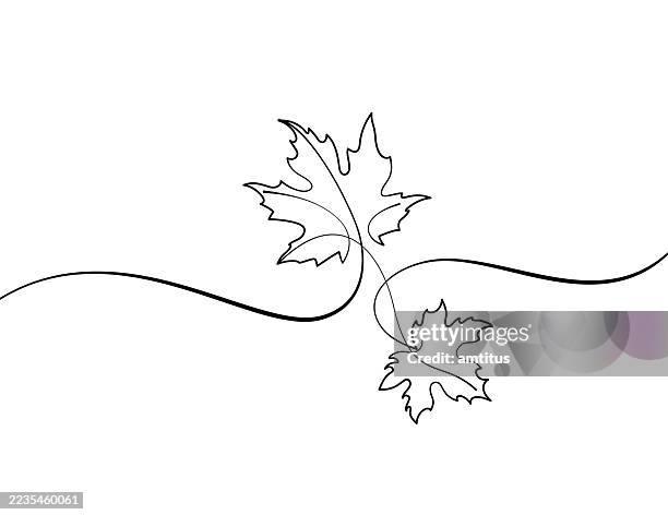 herbstblätter strichzeichnungen - ahornblatt stock-grafiken, -clipart, -cartoons und -symbole