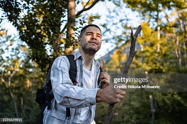man hiking through the forest holding a walking stick in daylight - hiking pole stock pictures, royalty-free photos & images