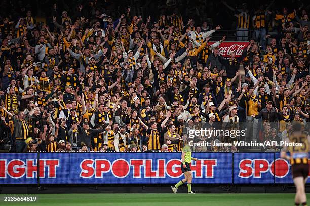 Hawthorn fans call for ball during the AFL Second Preliminary Final match between the Geelong Cats and the Hawthorn Hawks at the Melbourne Cricket...