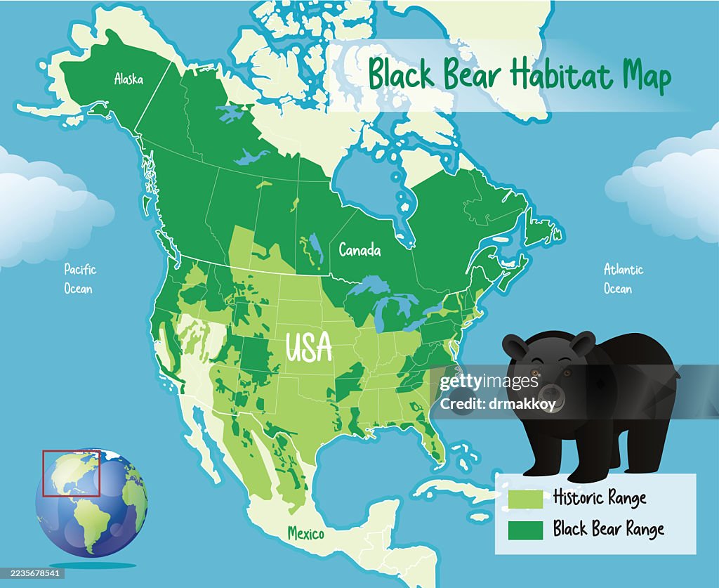Black Bear Habitat Range Map Poster