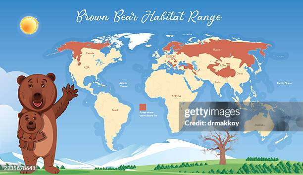 brown bear habitat range map poster - slovakia map stock illustrations