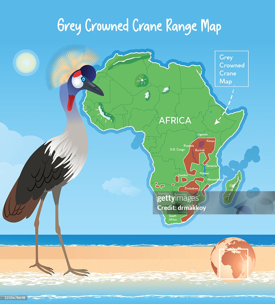 Crowned Crane Habitat Range Map Poster