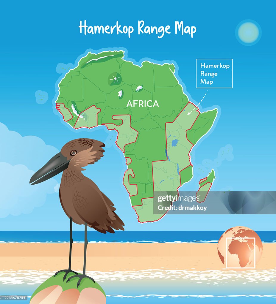 Hamerkop Habitat range Map Poster
