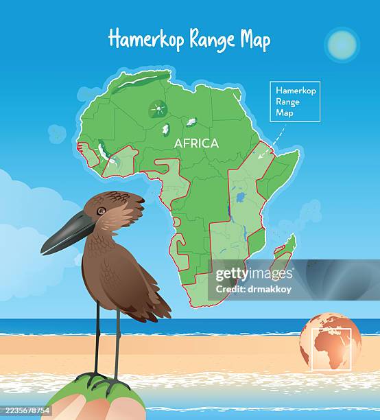hamerkop habitat range map poster - sub saharan africa stock illustrations