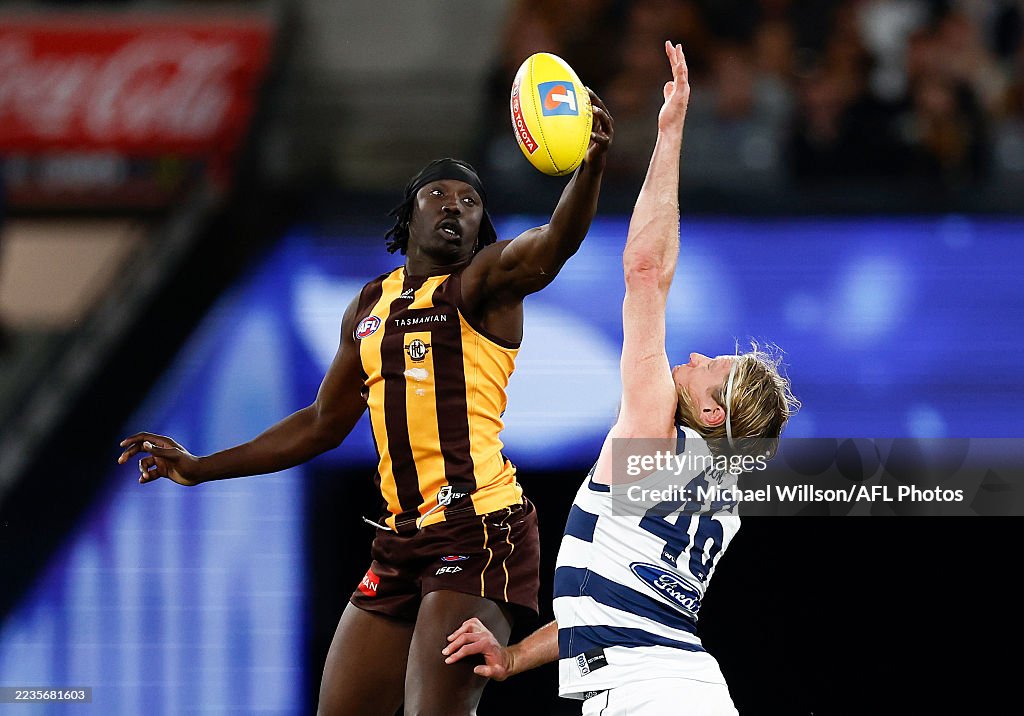 AFL Preliminary Final - Geelong v Hawthorn