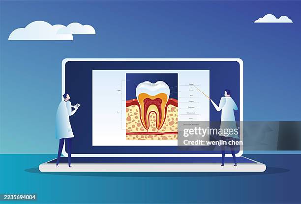 two doctors standing on laptops explaining the structure of teeth - presenter screen stock illustrations